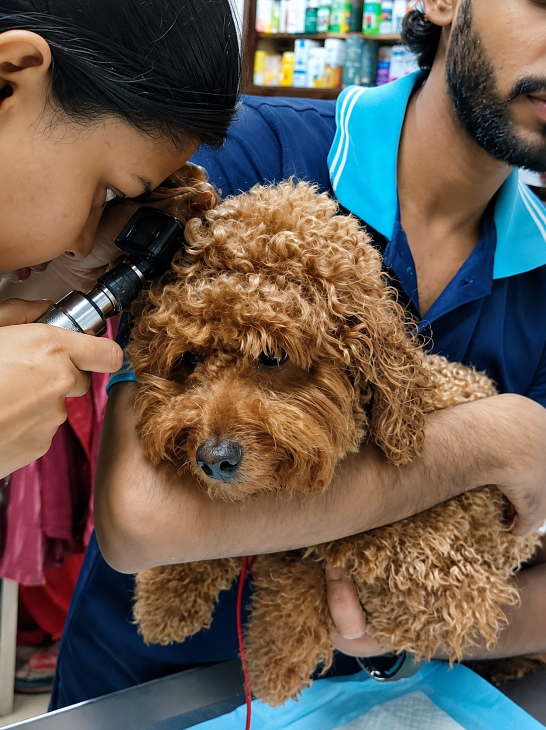 When Chronic Otitis Doesn't Respond: Are You Missing Biofilms and Hidden Pathogens?